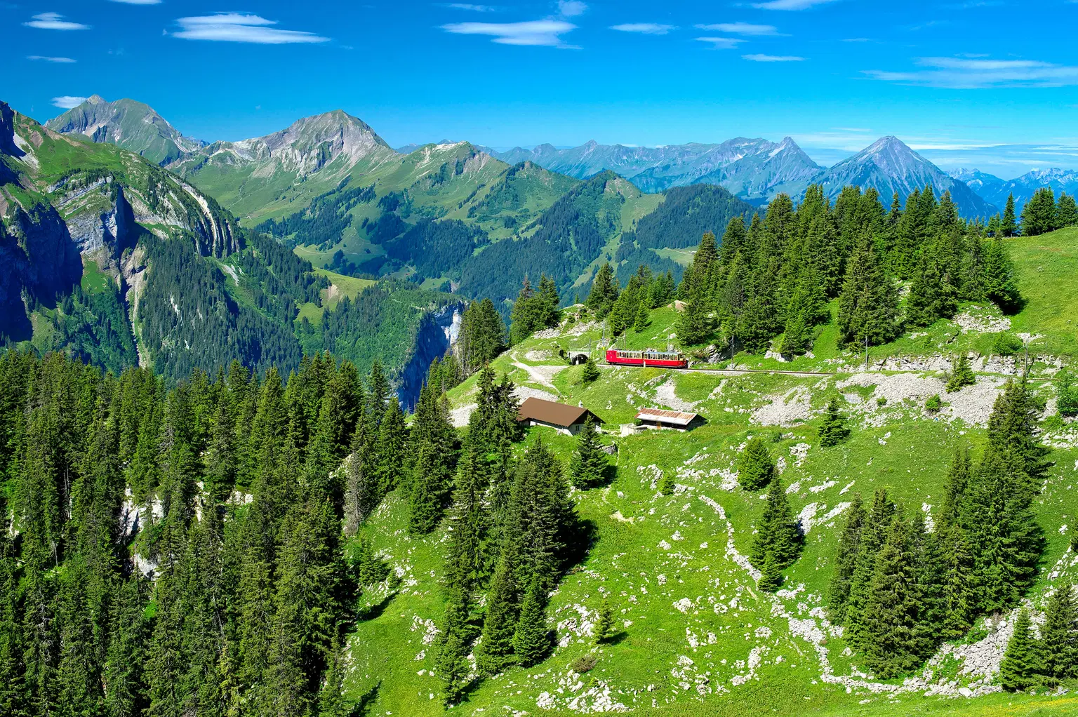 Schynige Platte