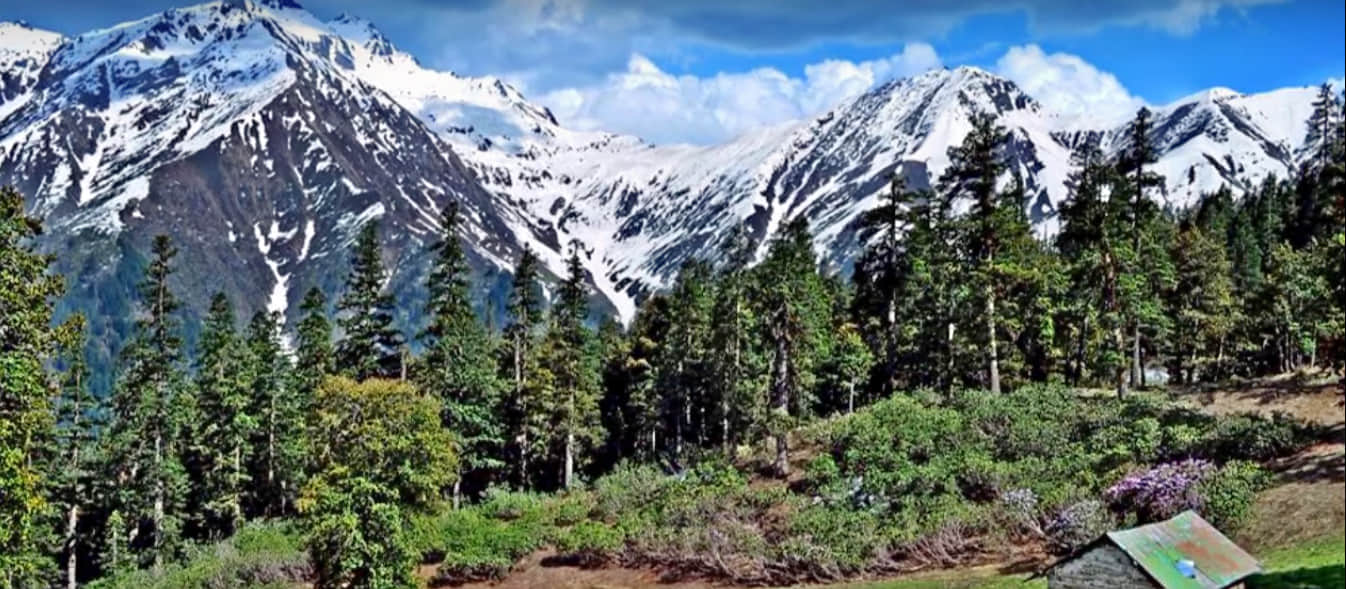 Photo from Avadhesh Kapoor's trip