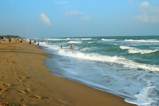 Hjzh0ev94w1c63ut5pmhpymos49q aurobeach05