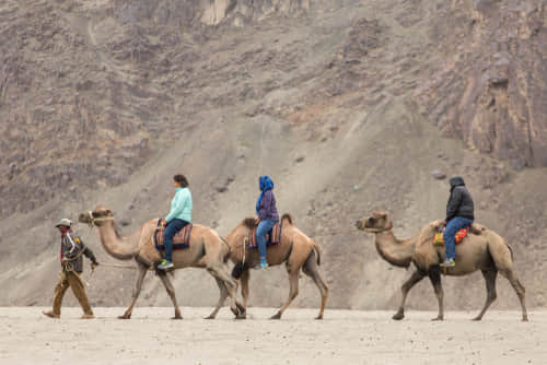 Camel Safari in Hundur