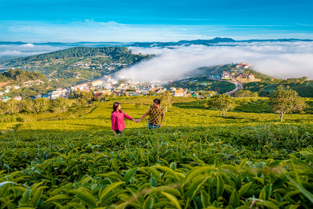 Click pictures at the serene Tea Plantations