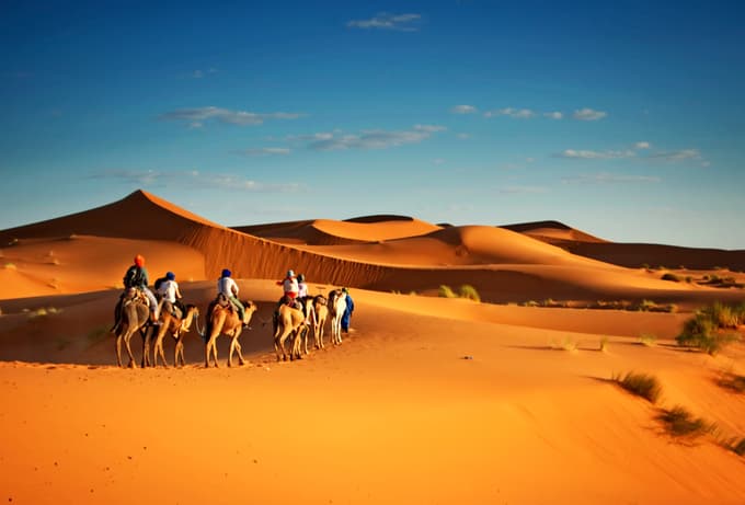 Golden dunes, endless adventure—Wahiba Sands safari thrill