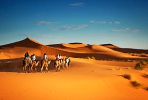 Golden dunes, endless adventure—Wahiba Sands safari thrill