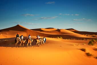 Golden dunes, endless adventure—Wahiba Sands safari thrill