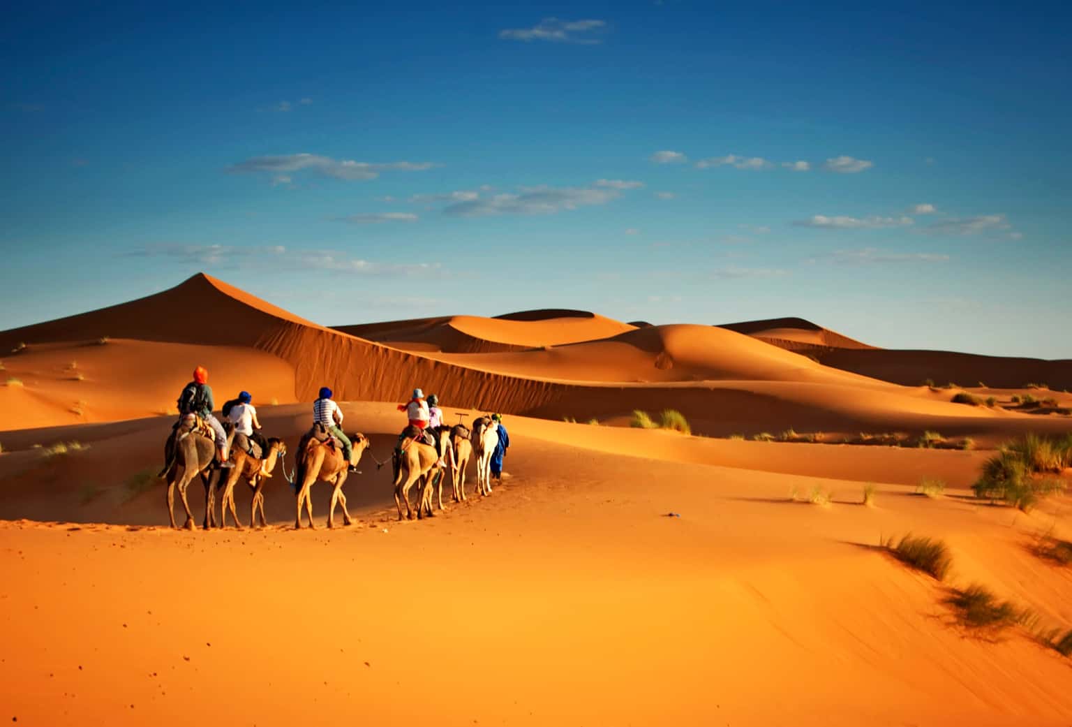 Ultimate Oman Discovery | Trails of Sand, Sea & History