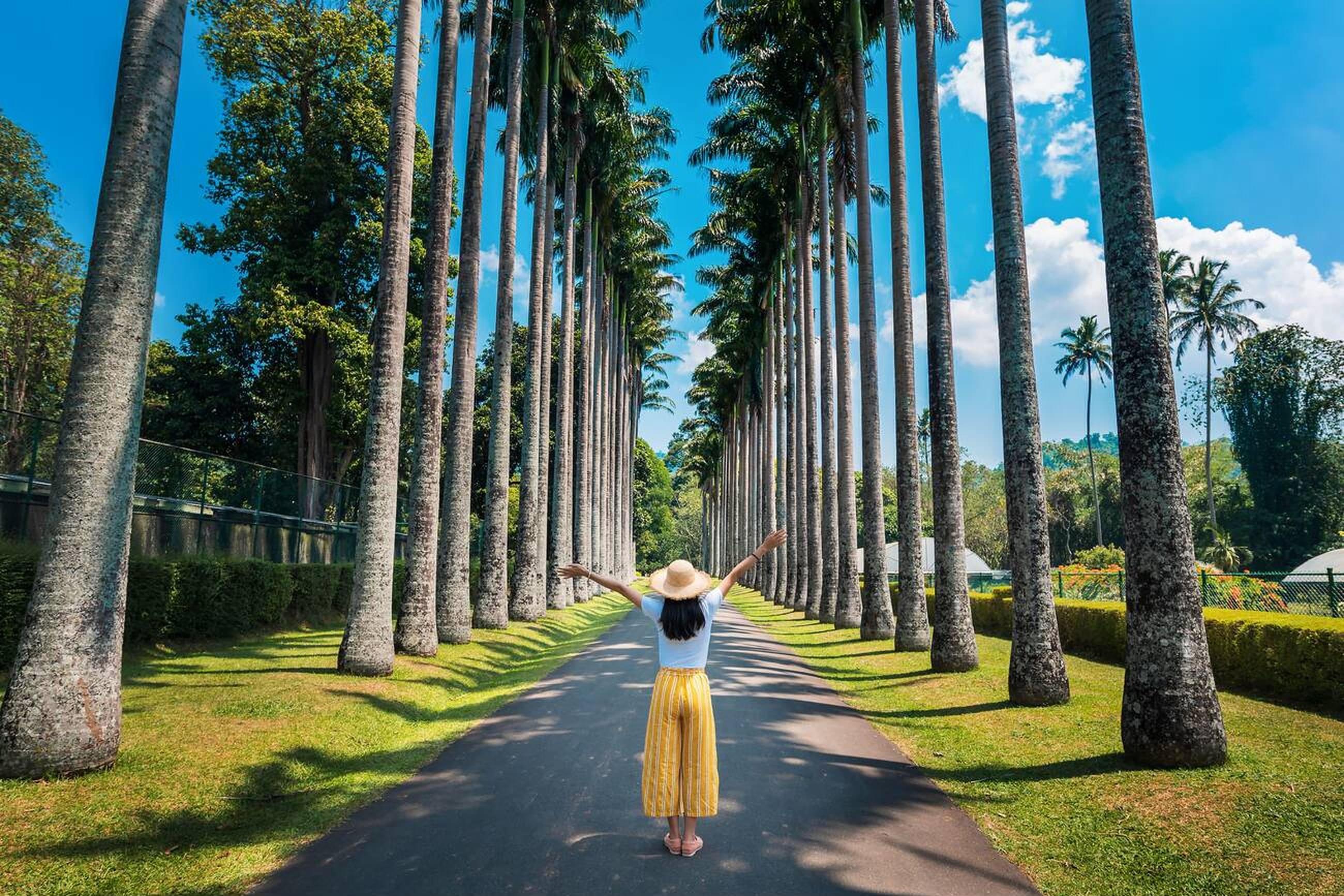 Girl at the stunning Royal Palm Avenue at the Royal Botanical Garden