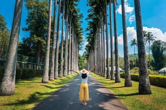 Girl at the stunning Royal Palm Avenue at the Royal Botanical Garden