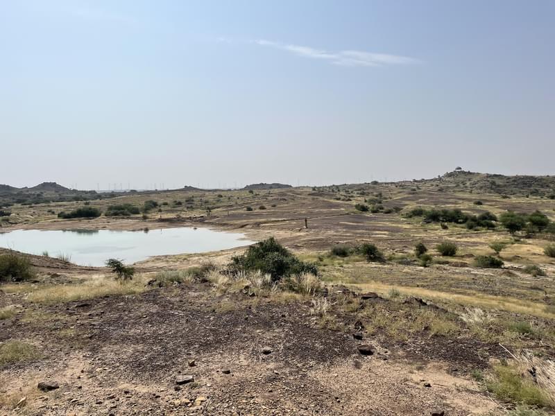 Akal Wood Fossil Park Tour Image