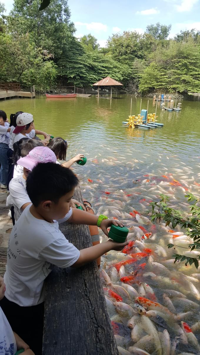 Fish Feeding at Mood’s Lake