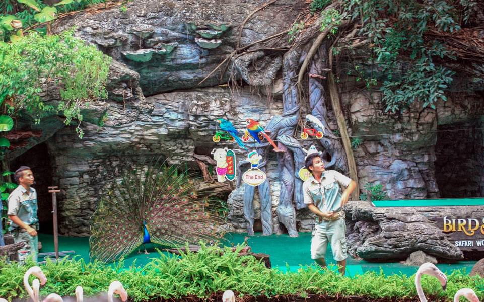 What to See at Safari World