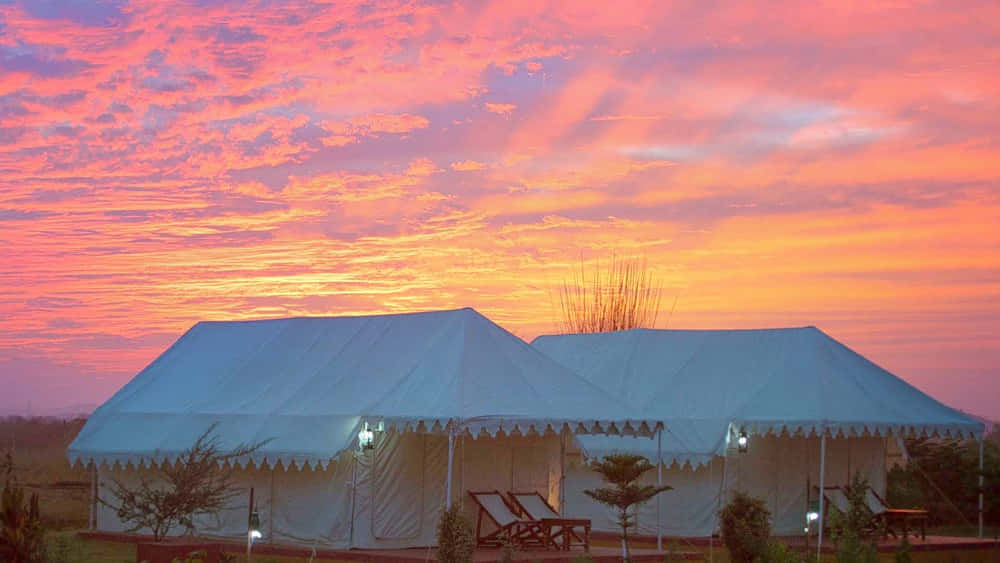 Pushkar Adventure Desert Camp