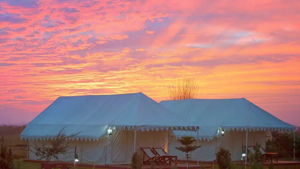 Pushkar Adventure Desert Camp