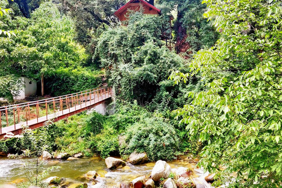 Natureside Treehouse In Jibhi Image