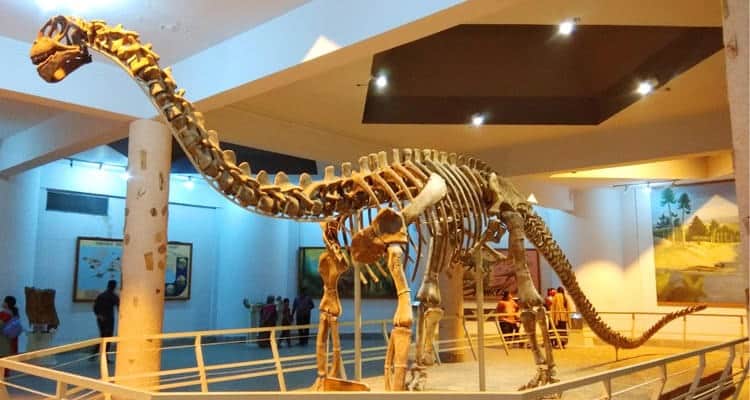 B. M. Birla Science Museum , <em>Hyderabad</em>