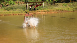 Hl8mnm8m8e322s5dgoirwu0b0iju anku0149