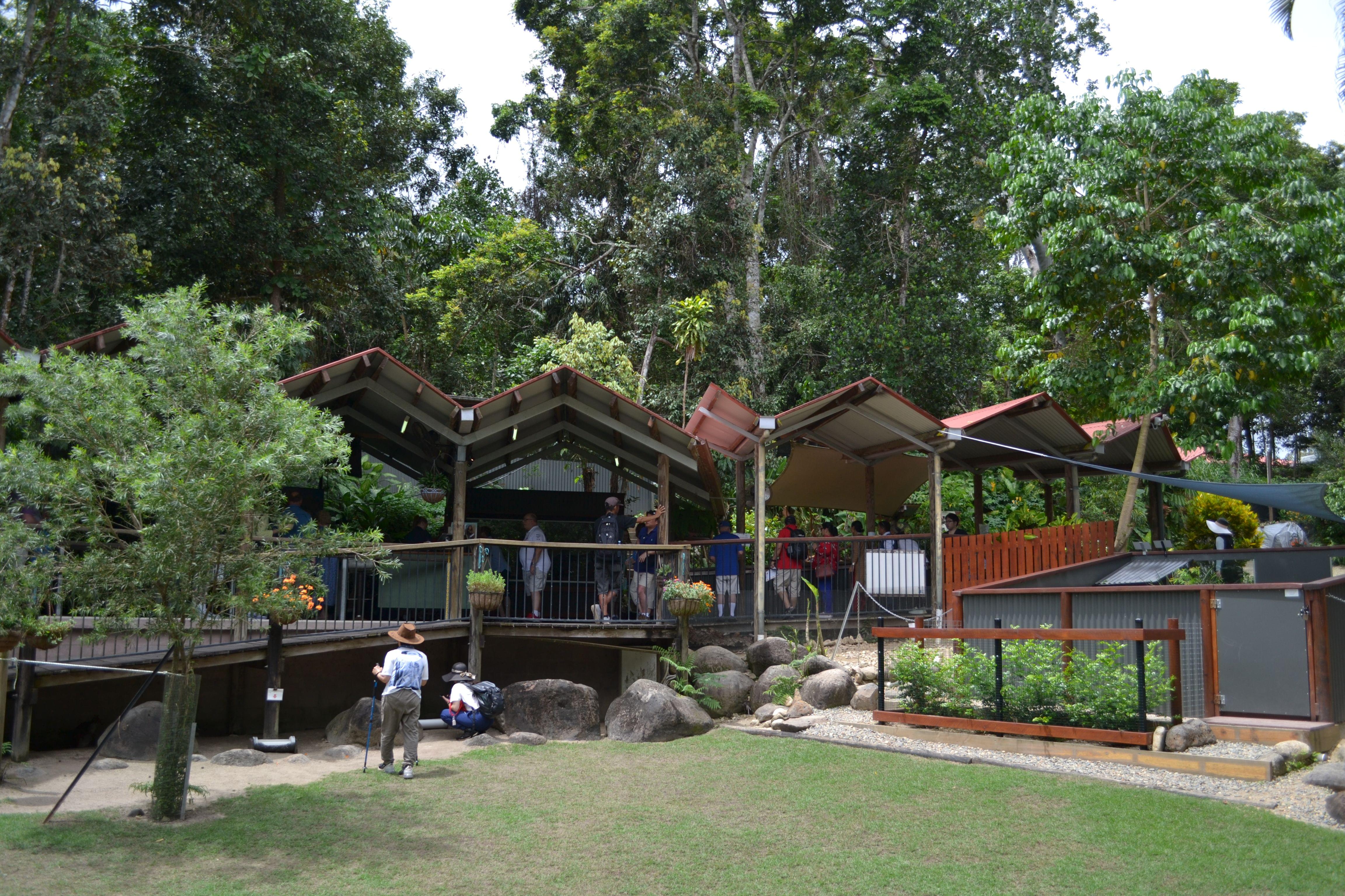 Kuranda Koala Gardens