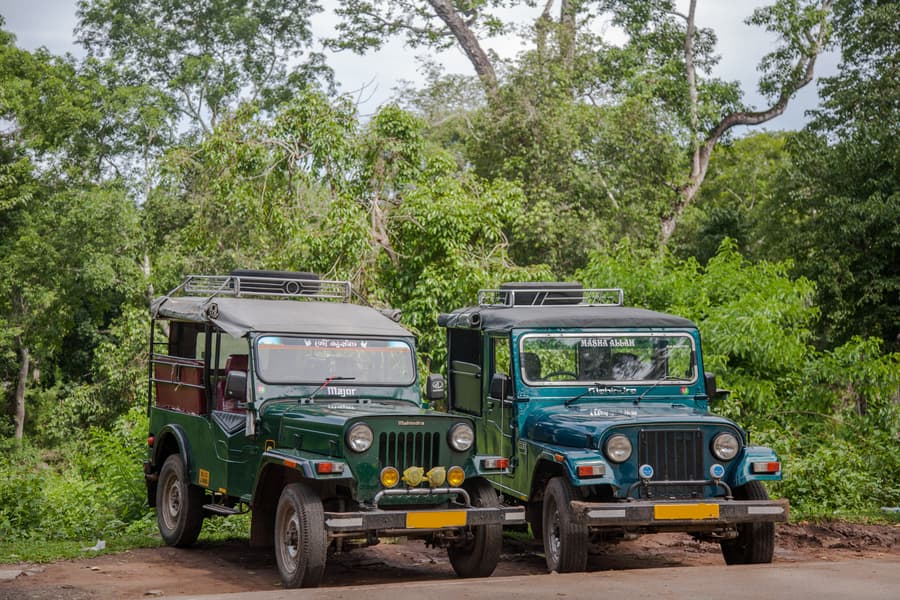 Kotagiri Trek, Ooty Image