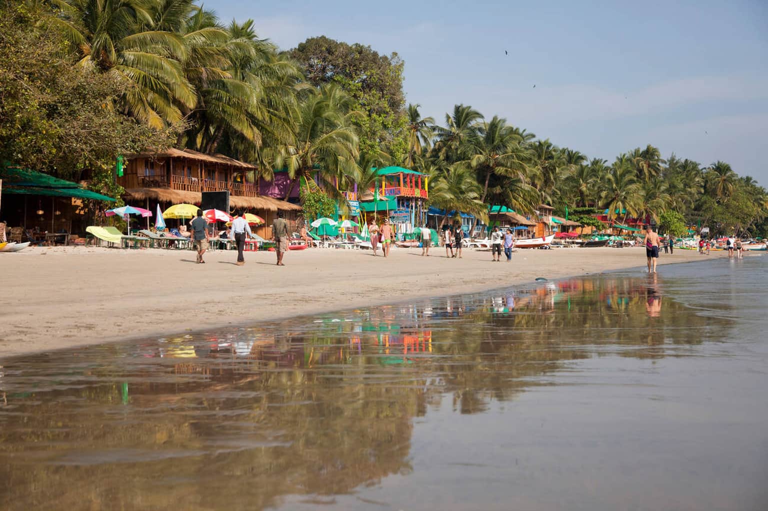 Take a Leisurely Walk Along the Pine-Lined Shoreline