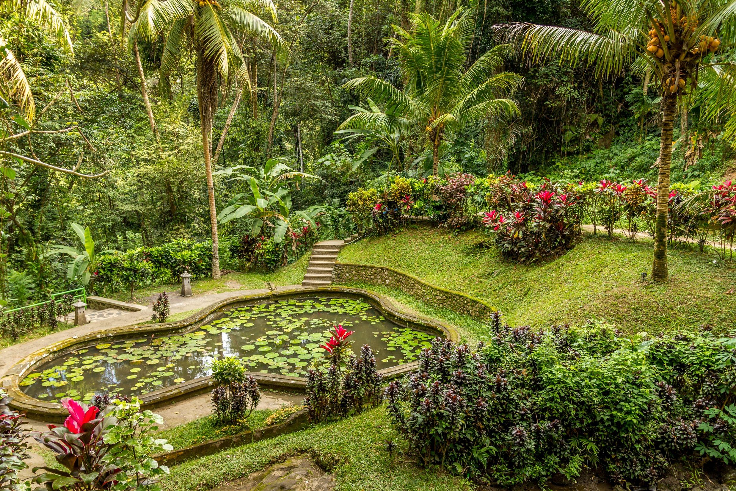 Garden at Goa Gajah