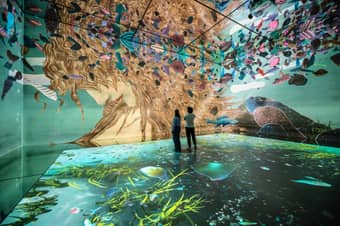 Digital art projections filling immersive gallery spaces