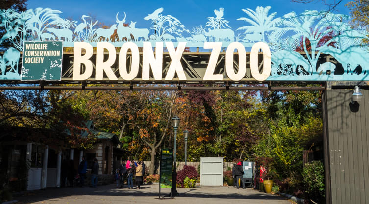 Explore the Bronx Zoo spanning 256 acres of land
