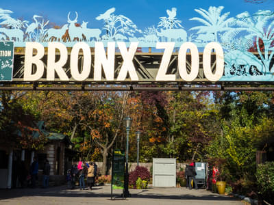Explore the Bronx Zoo spanning 256 acres of land