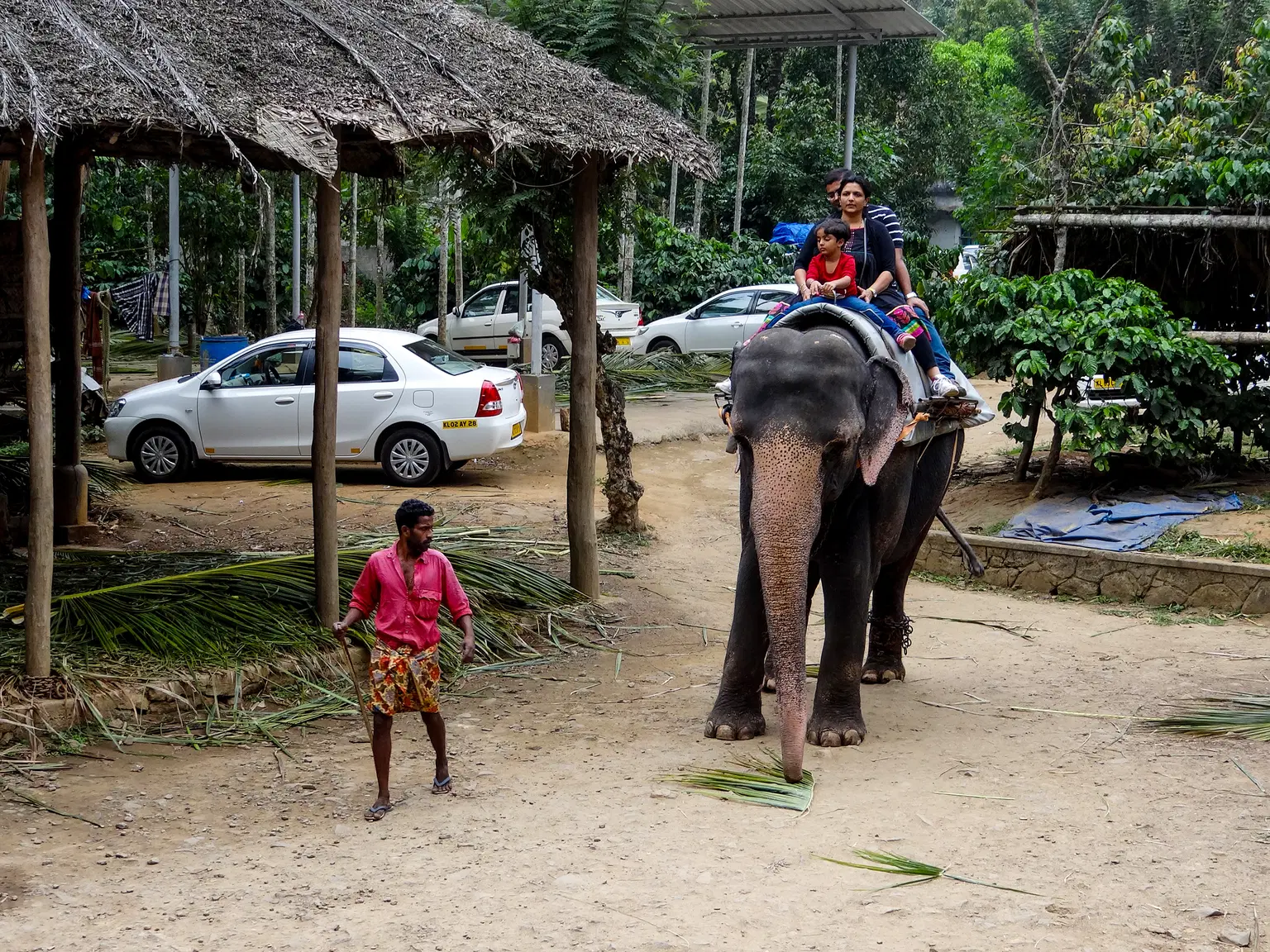 Elephant Junction 