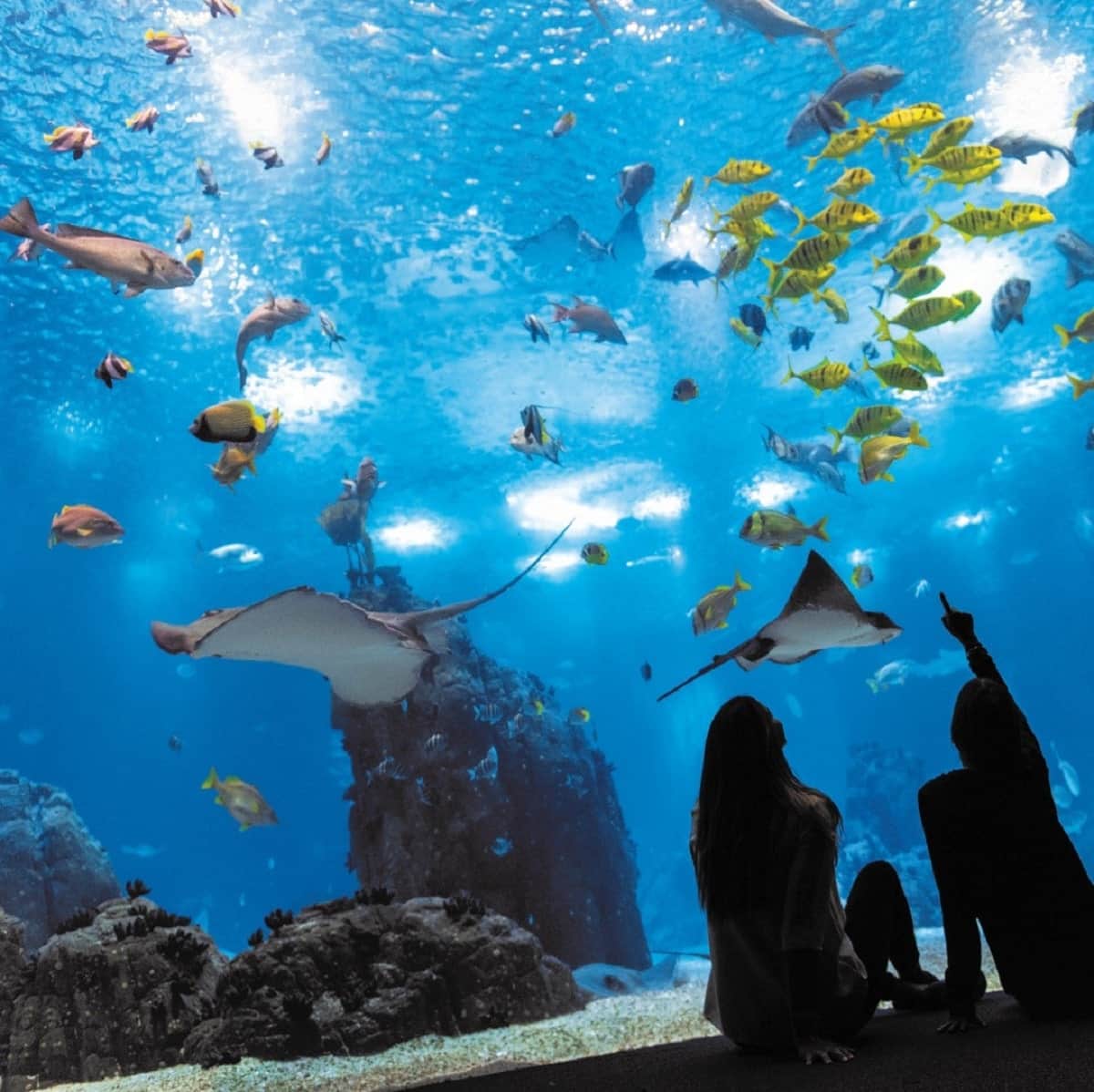 Oceanário de Lisbon, <em>Lisbon</em>