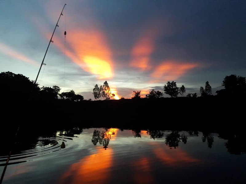 Amazon Giant Fishing Park Pattaya Tickets Image