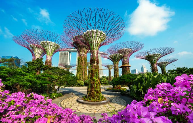 Enjoy the immersing show at Supertree in Gardens by the Bay