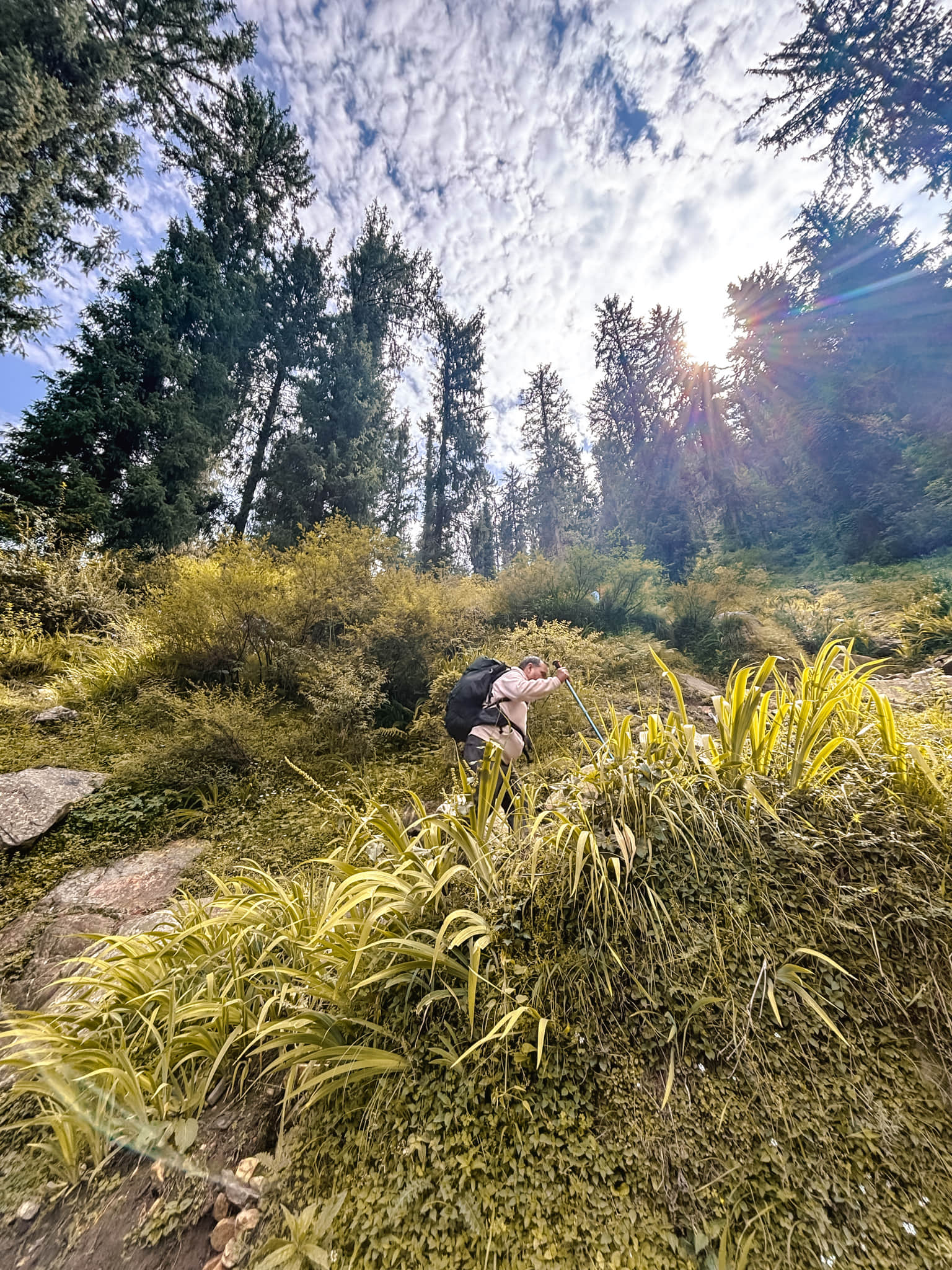 Photo from Vasu Khurana's trip