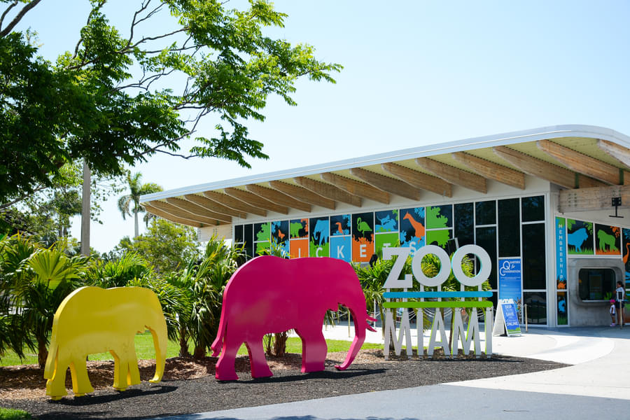 Visit Zoo Miami - home to over 3000 animals of more than 500 species