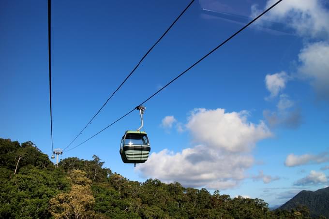 Skyrail Rainforest Cableway