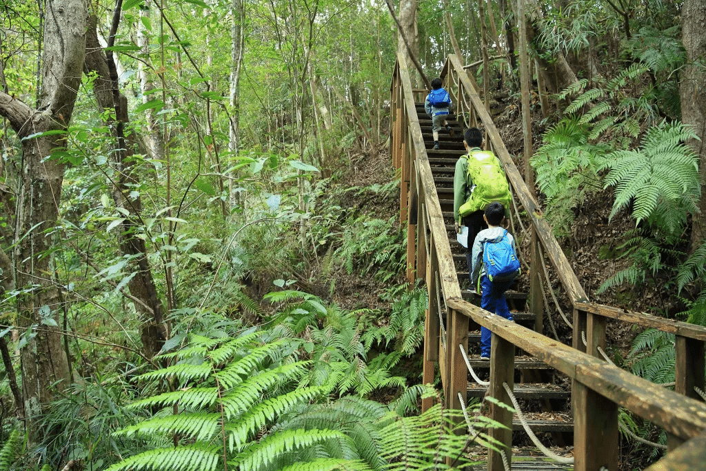 Okinawa Hiking Tours