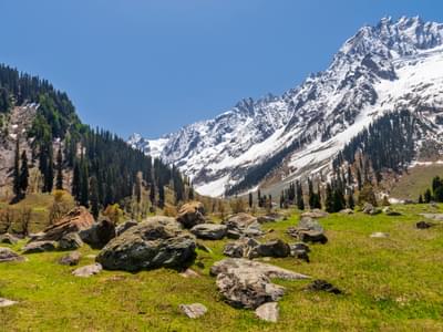 Blissful Kashmir Couple Special | FREE Houseboat Stay Day 1