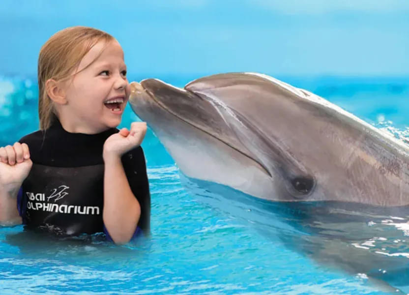 Dubai Dolphinarium tickets