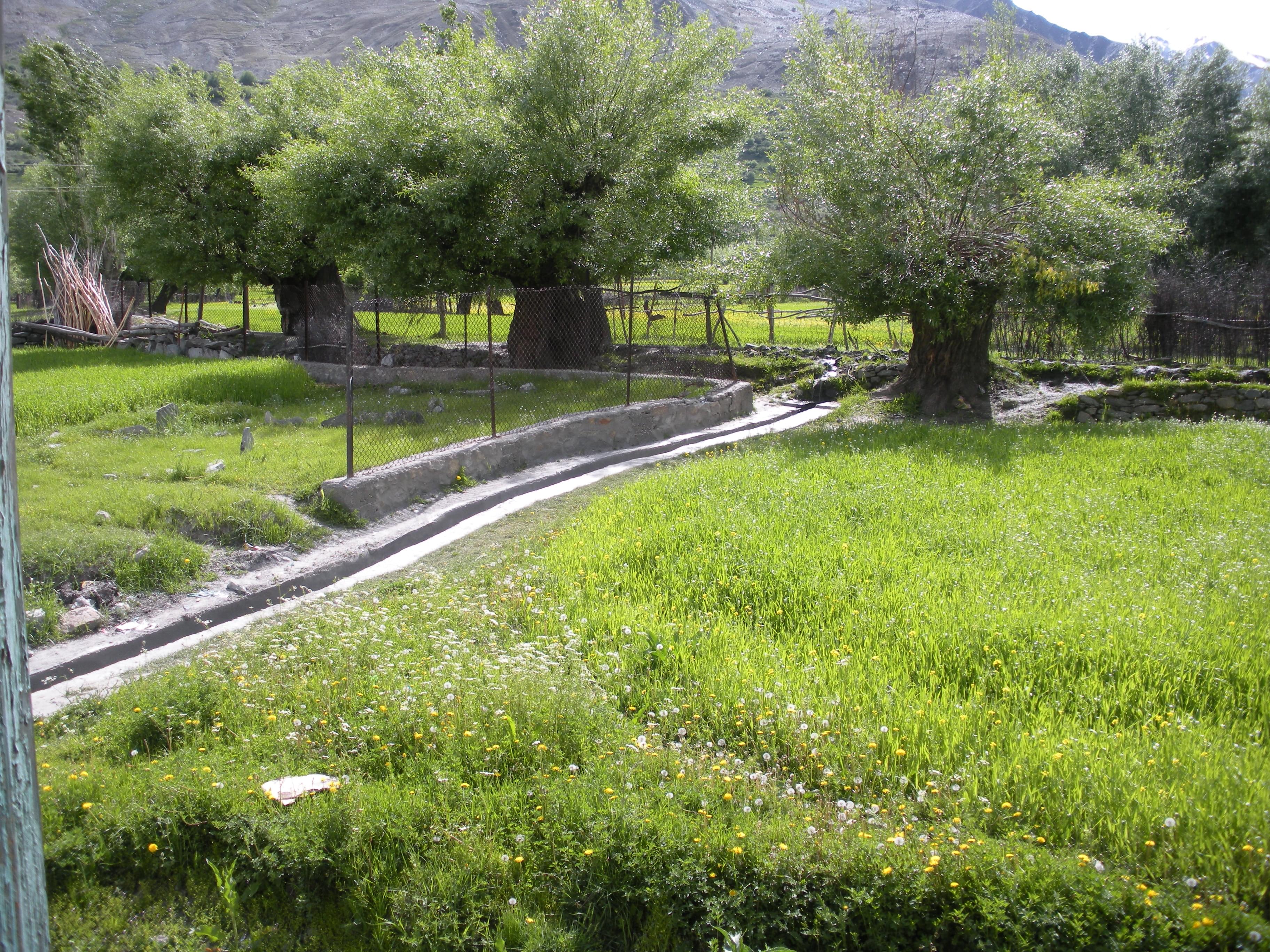Visit the Sankoo Village