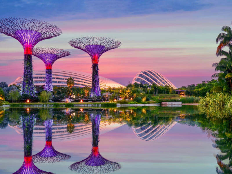 Gardens By The Bay Tickets, Singapore