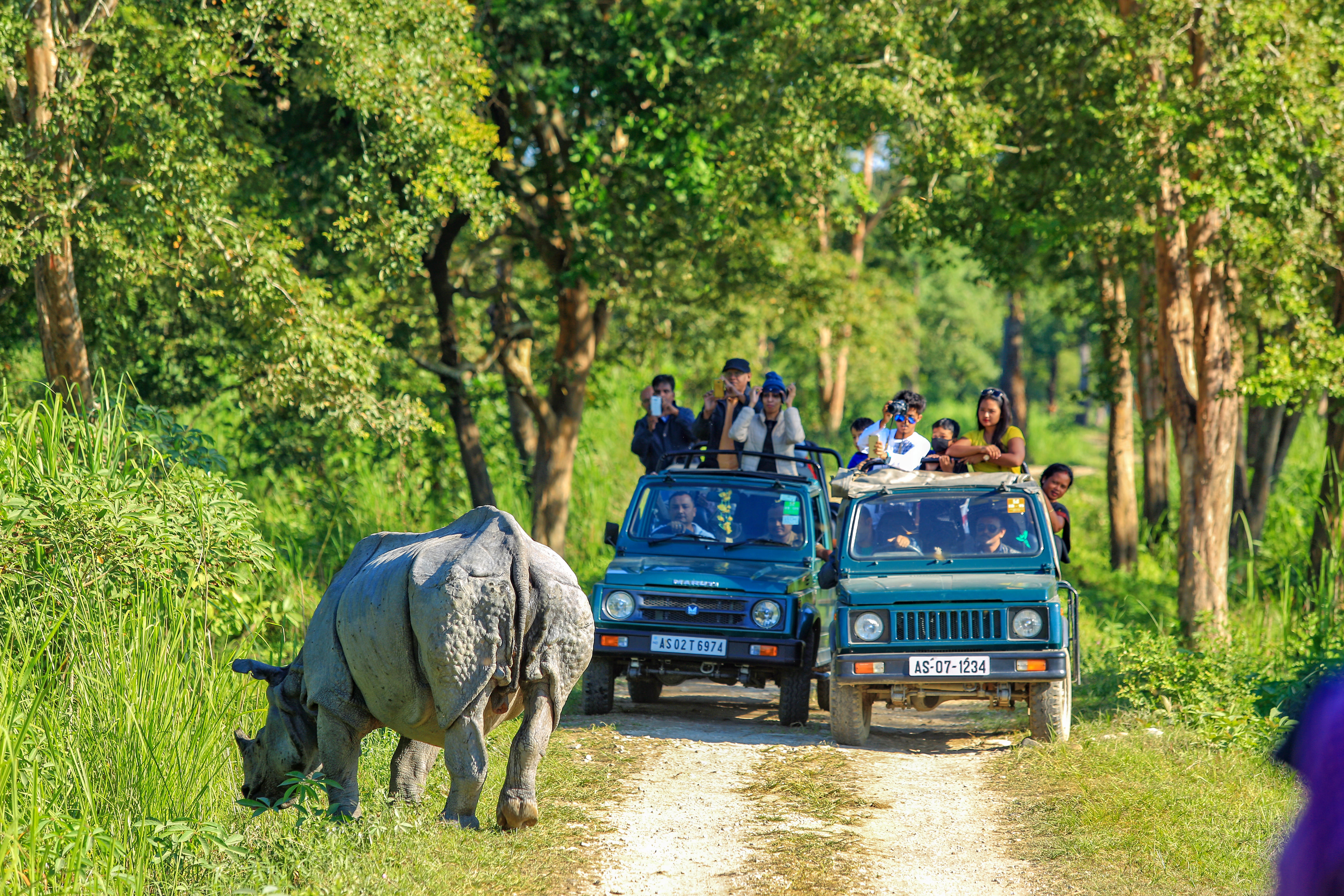 Jeep Safari In Kaziranga I Book Online @ Flat 10% Off