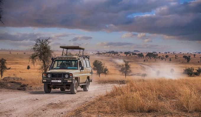 TANZANIA SAFARI HOLIDAYS