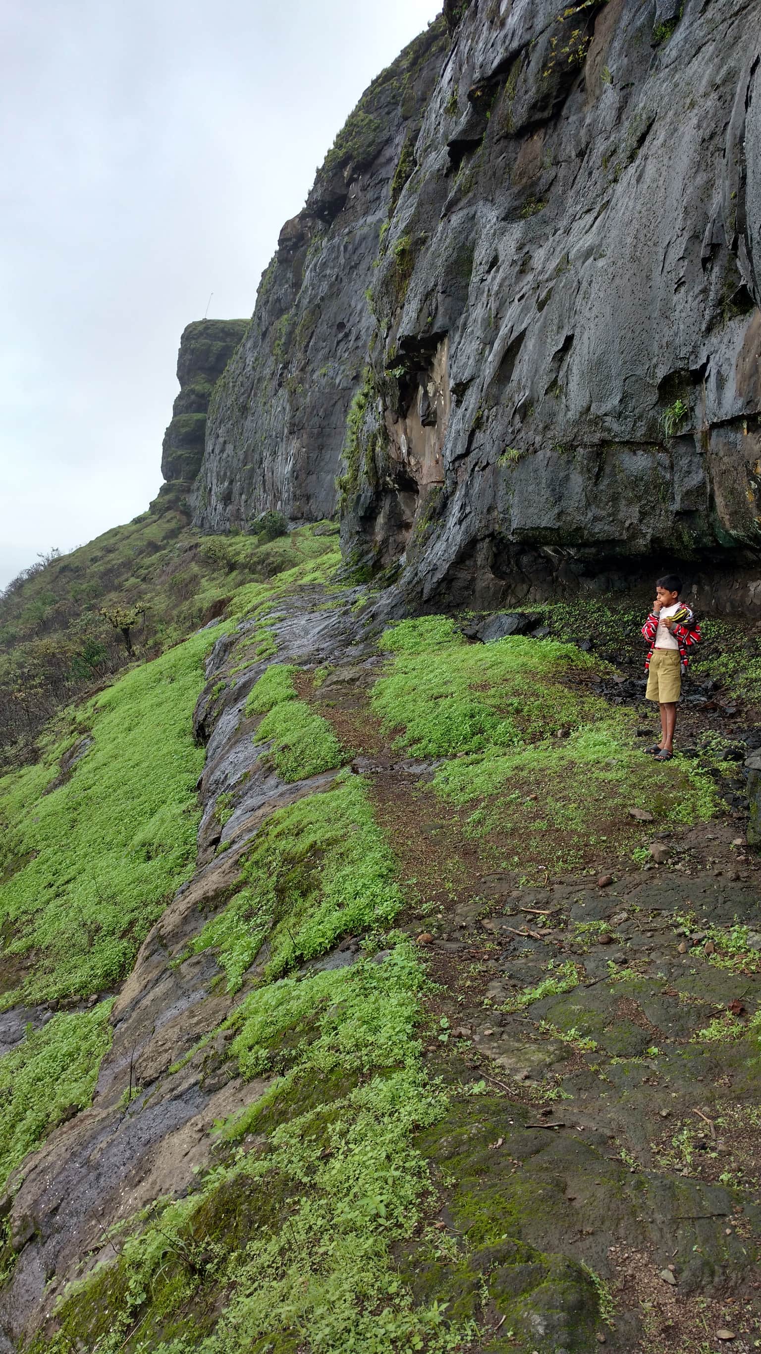 Trek to the Summit