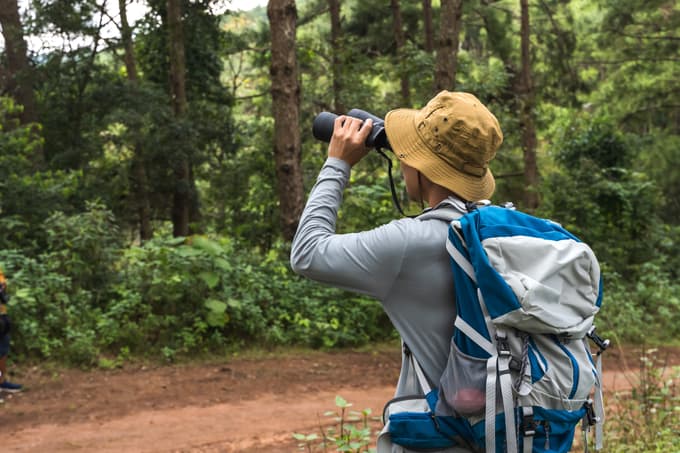 Enjoy a calming walk through nature with birds all around
