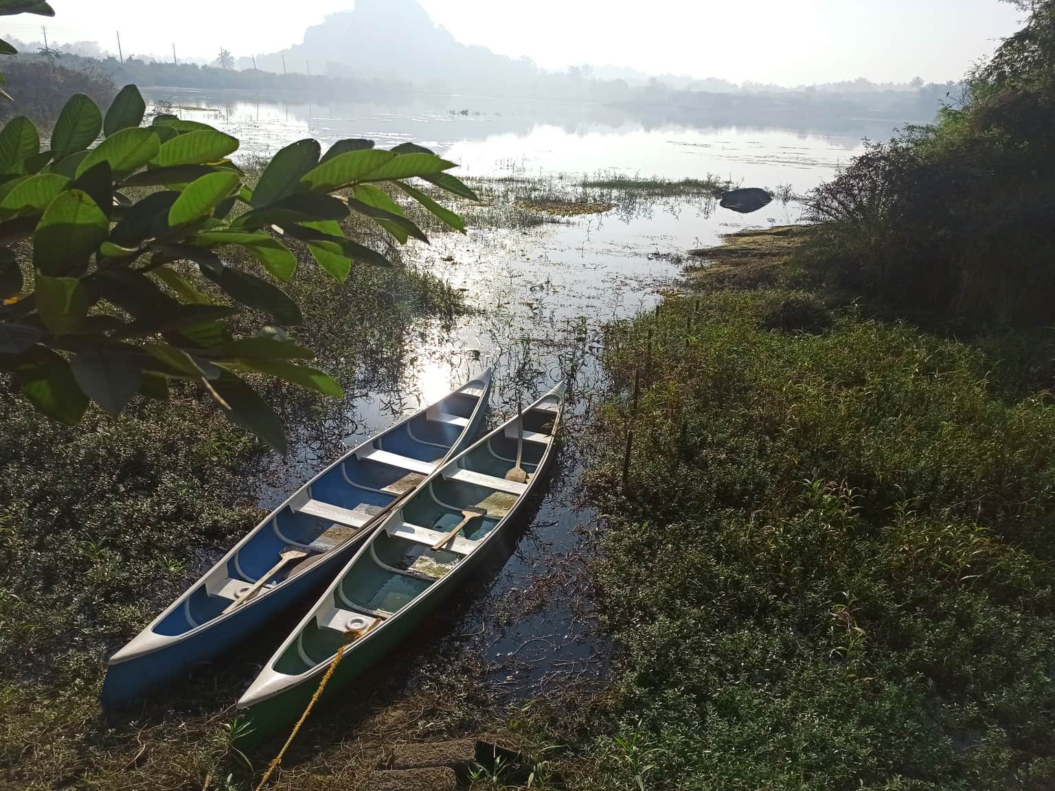 Photo from monali 's trip