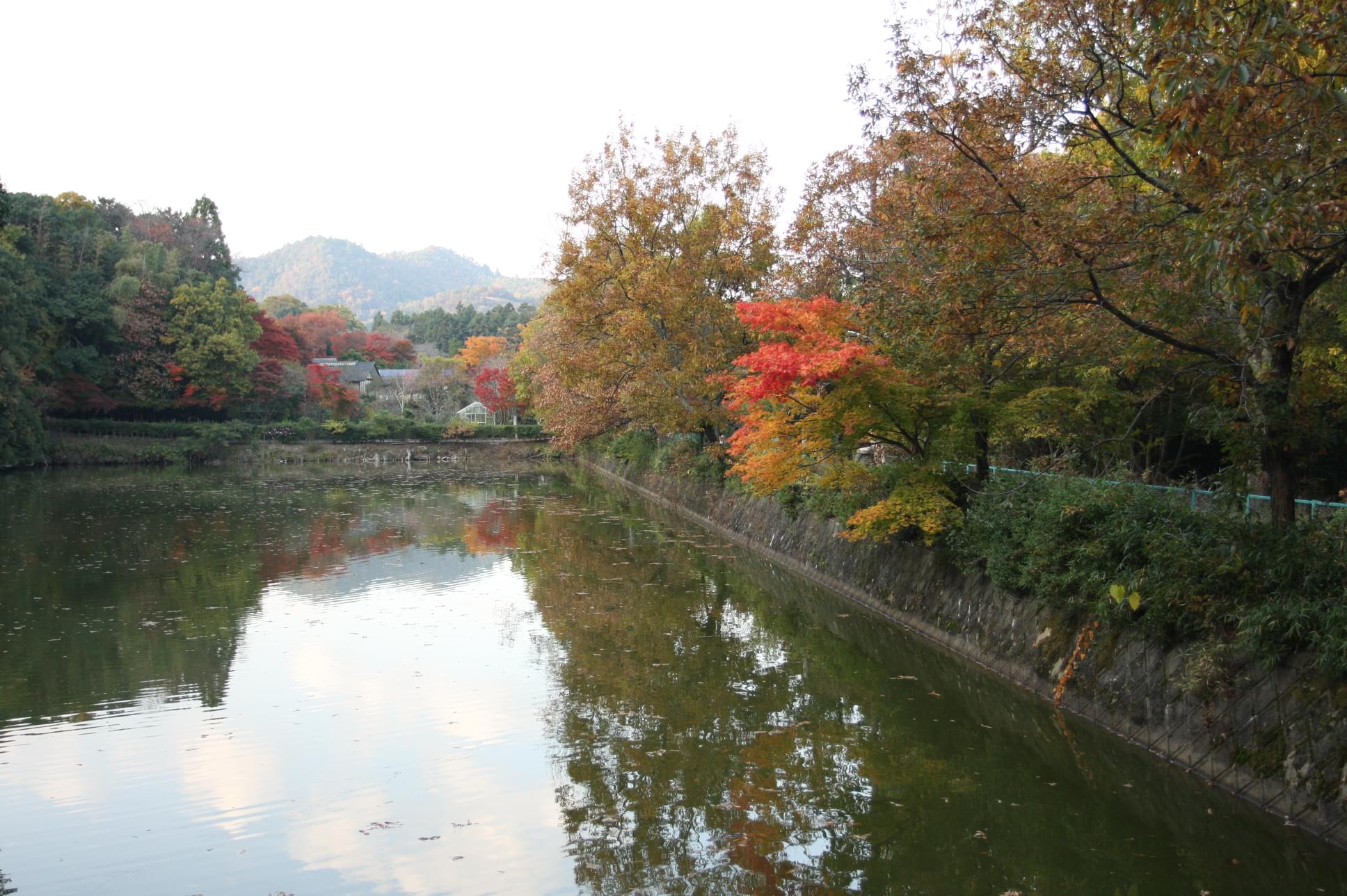 Arashiyama Overview