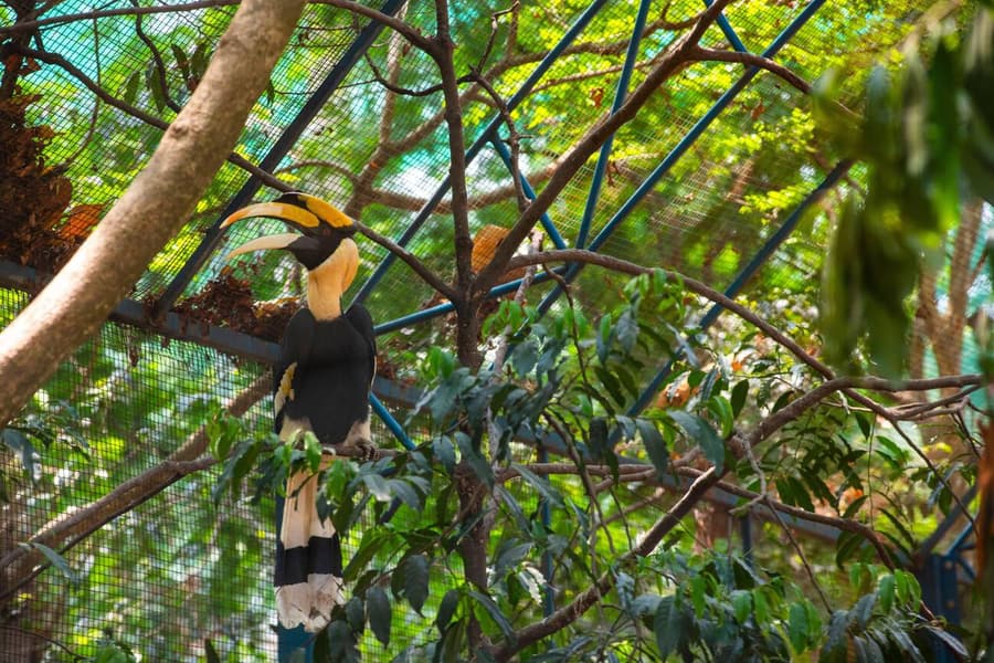 Saigon Zoo & Botanical Gardens Tickets Image