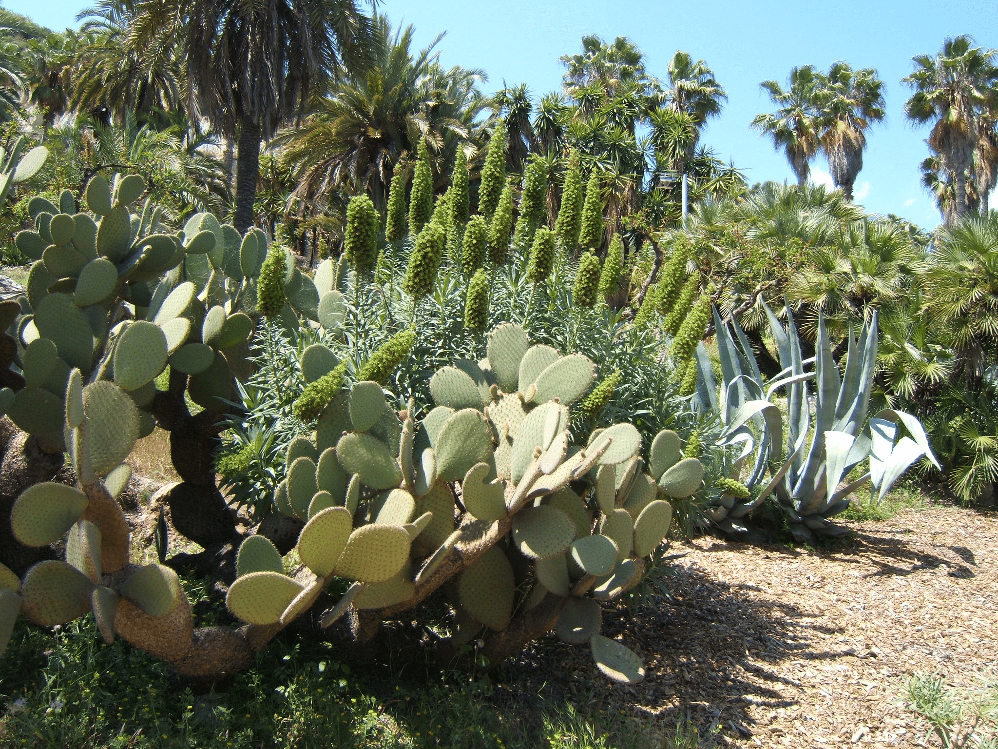 Jardins de Mossèn Costa i Llobera Overview