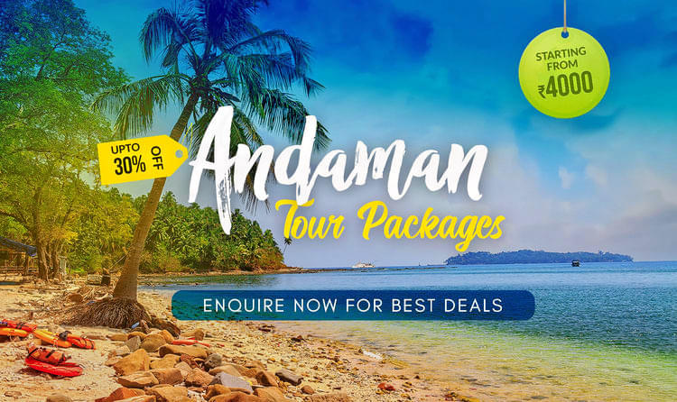 Best Offers On Andaman Tour Packages: Enquire Now Overview