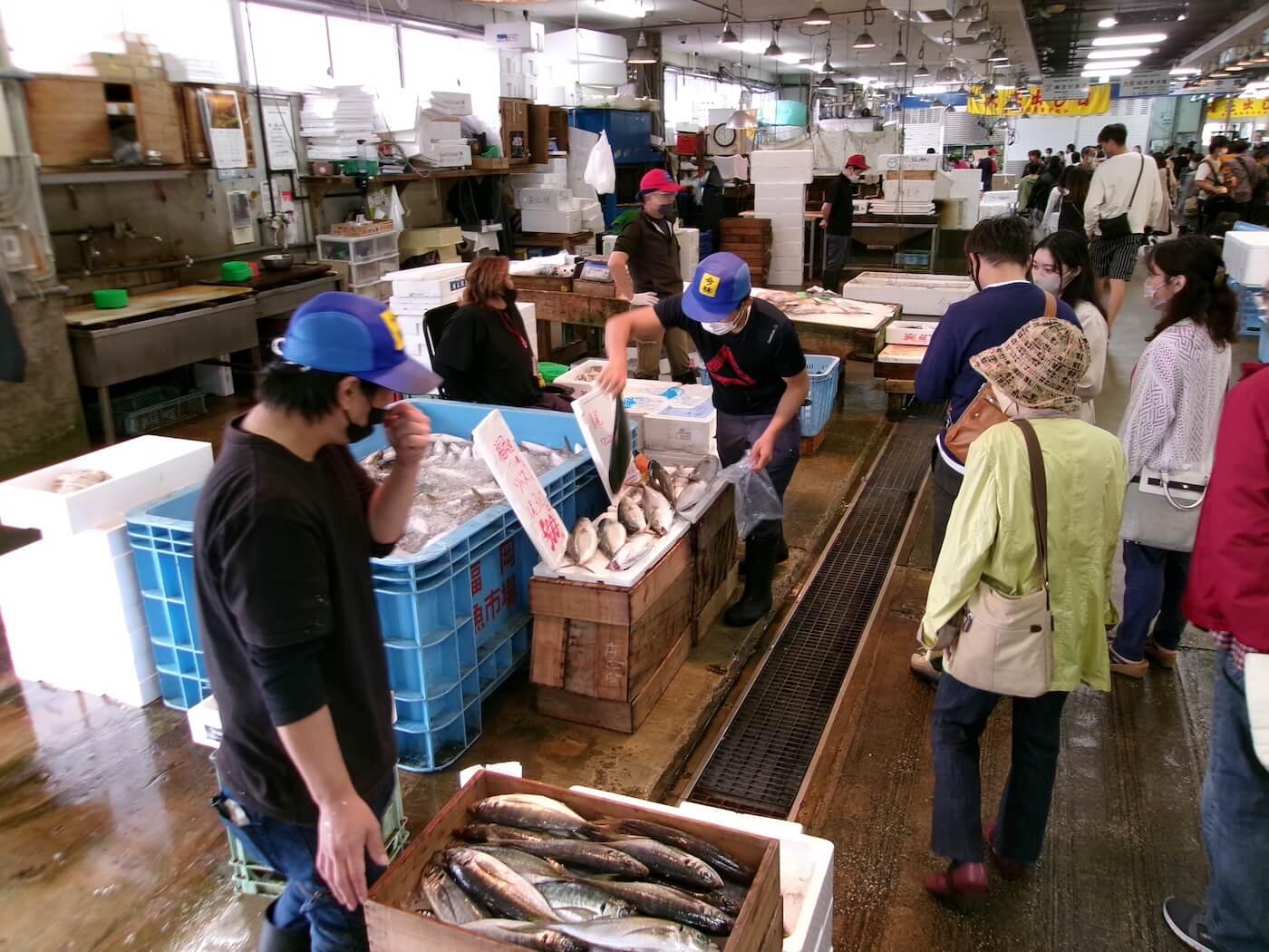 Visit the Nagahama Fish Market