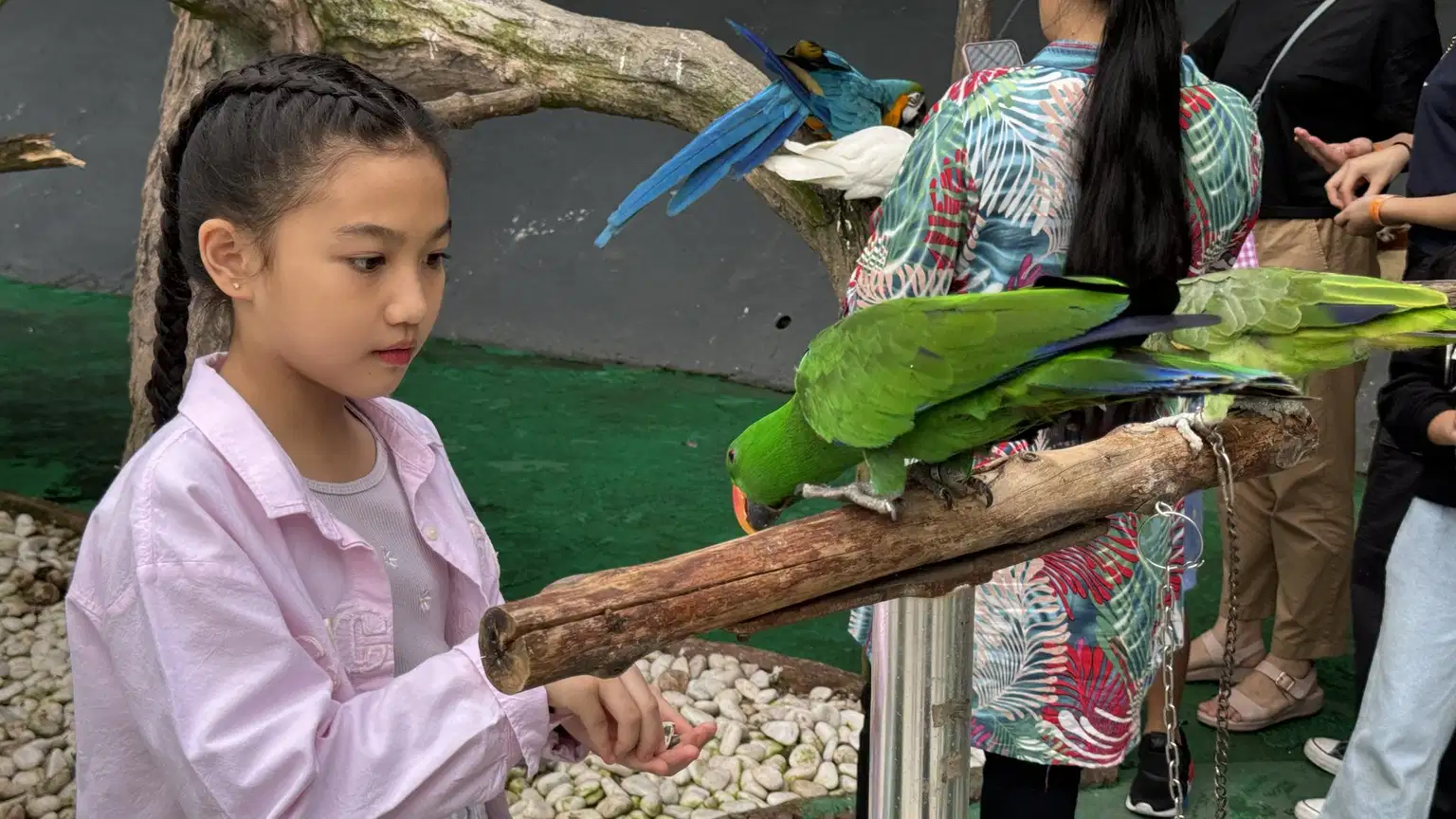 99 Wonderland Park, Selangor