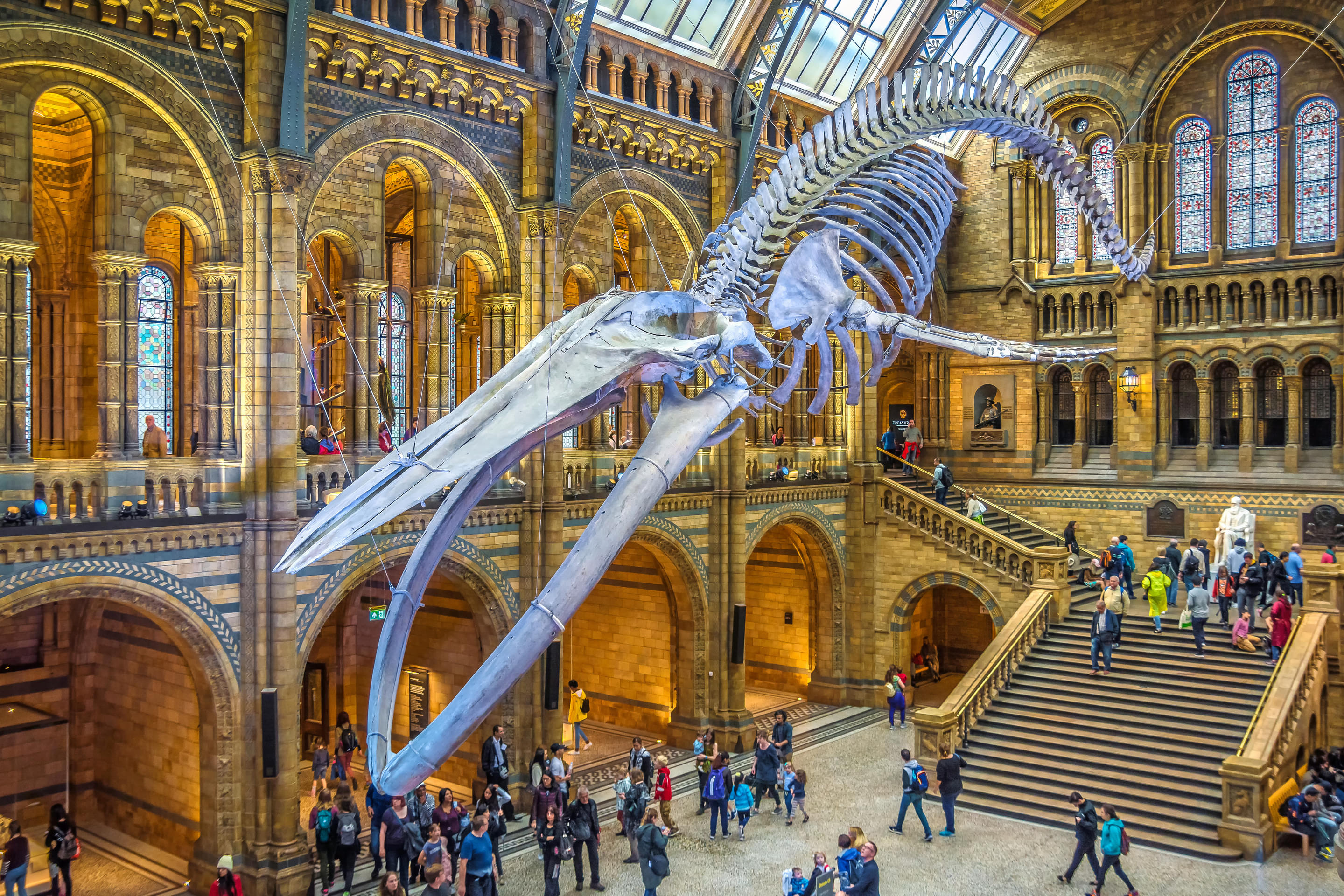 Natural History Museum Overview